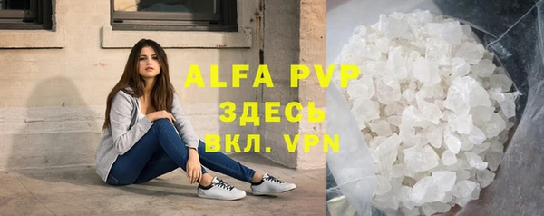 индика Нефтекумск