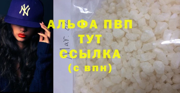 индика Нефтекумск