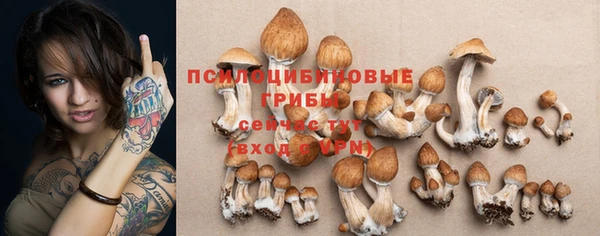 дживик Навашино