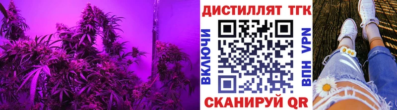 хочу   Коряжма  ТГК Wax 