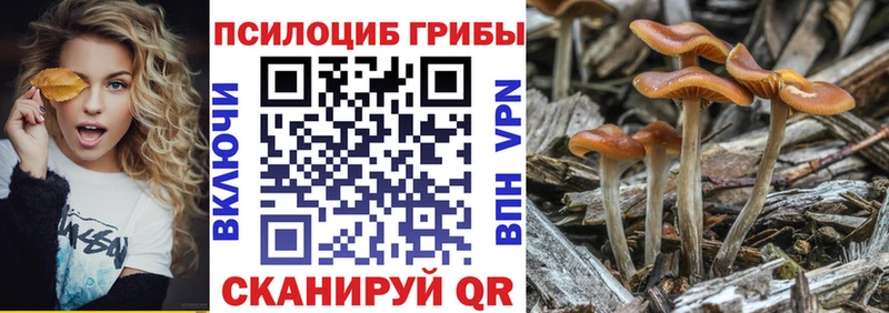 Псилоцибиновые грибы GOLDEN TEACHER  Коряжма 