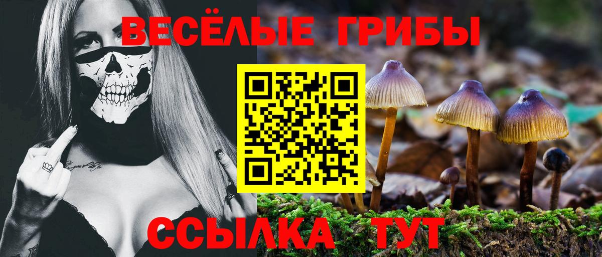 Галлюциногенные грибы Magic Shrooms Коряжма