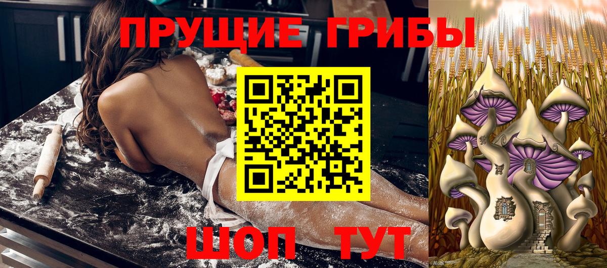 Коряжма  Псилоцибиновые грибы Psilocybe  Галлюциногенные грибы прущие грибы  Вход с VPN 